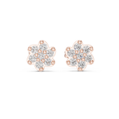 Hover image 1