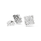 Hover image 2