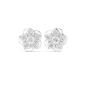 Hover image 1