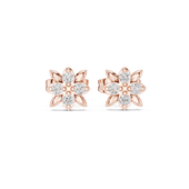 Hover image 1