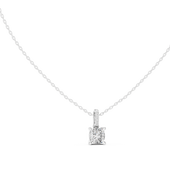 Hover image 1