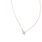 Hover image 2