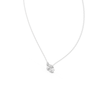 Hover image 2